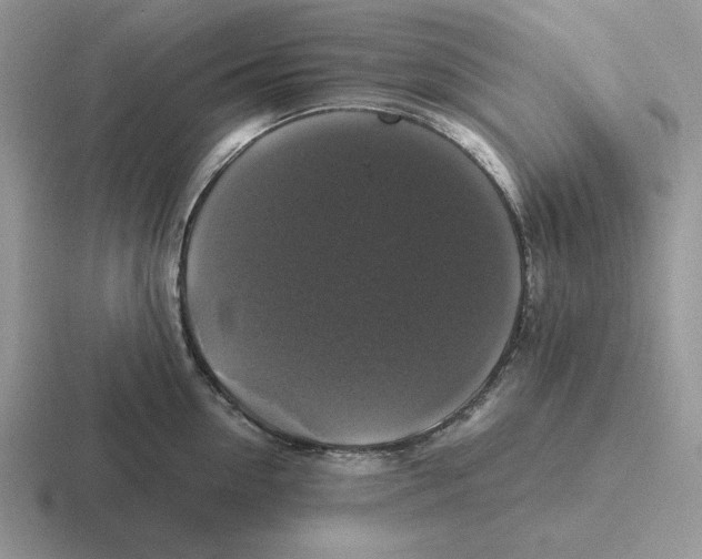 X0000116440954201001051202