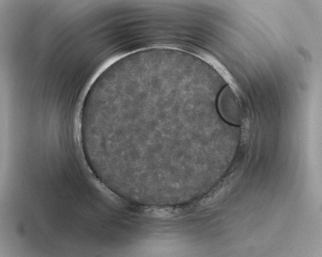 X0000116440955201001051202