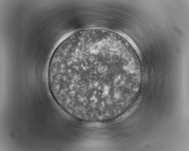 X0000116440957201001051202