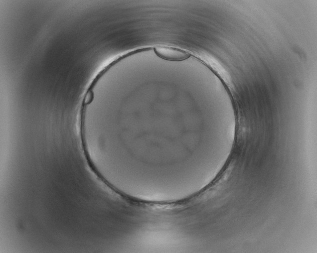 X0000116440958201001051202