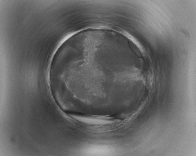 X0000116440959201001051202