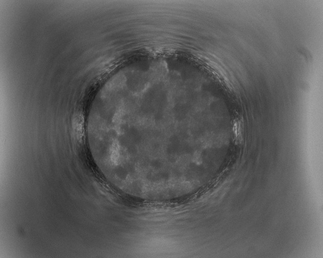 X0000116440963201001051202