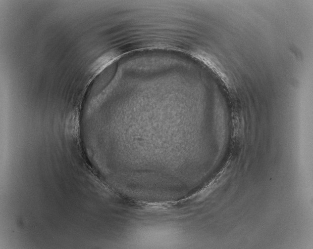 X0000116440969201001051201