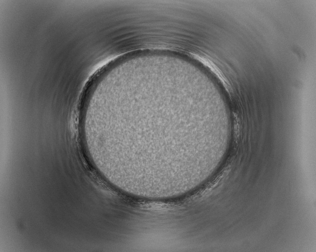 X0000116440971201001051201