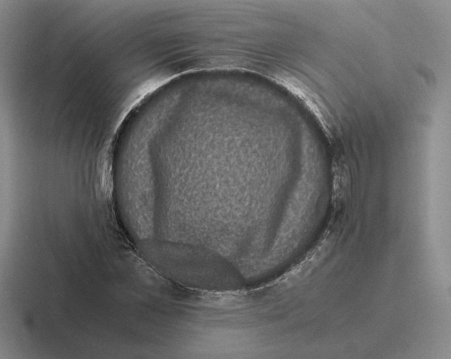 X0000116440973201001051201