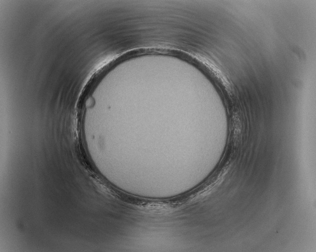 X0000116440974201001051201