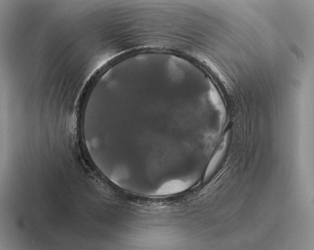 X0000116440975201001051201