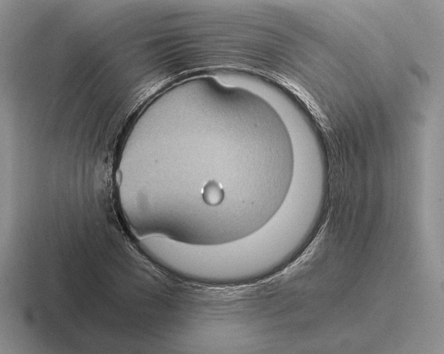 X0000116440977201001051201