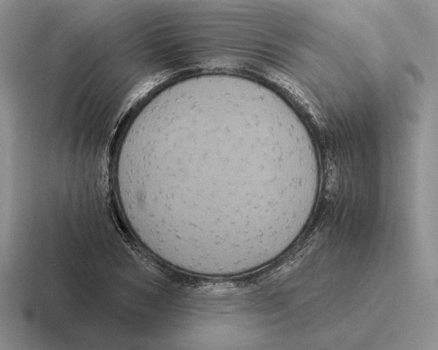 X0000116440978201001051201