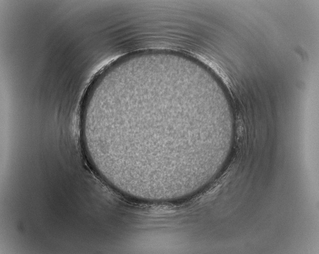 X0000116440979201001051201