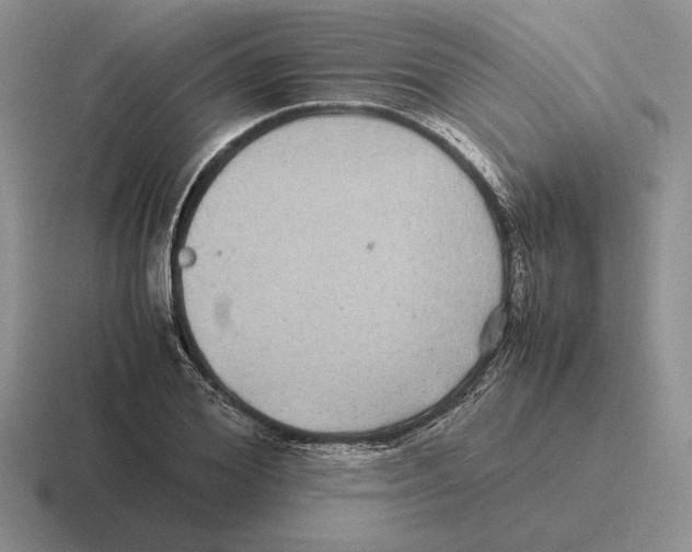 X0000116440980201001051201