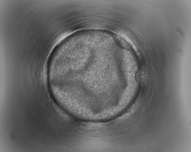 X0000116440981201001051201