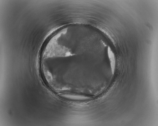 X0000116440983201001051201