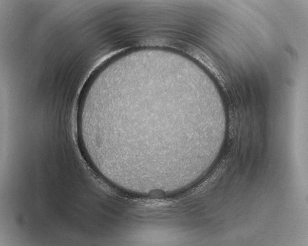 X0000116440984201001051201