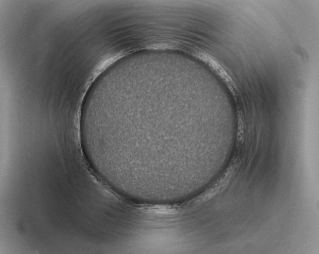 X0000116440986201001051201