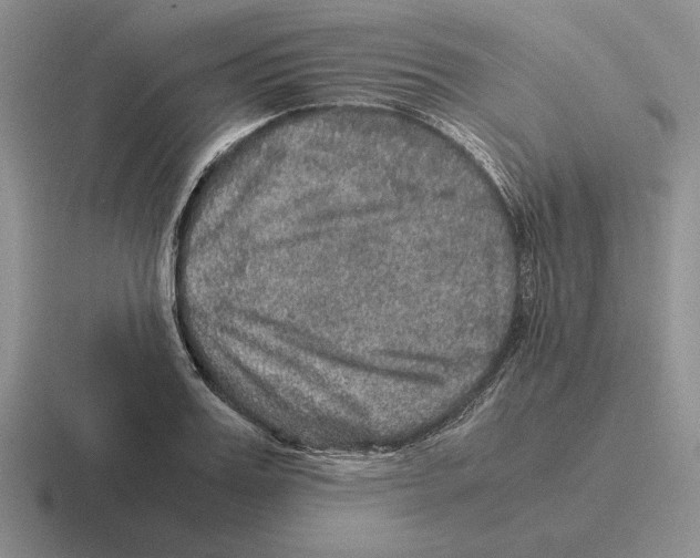 X0000116440987201001051201