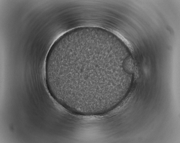 X0000116440988201001051201