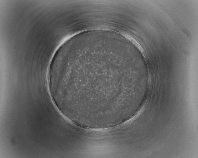 X0000116440989201001051201