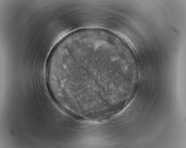 X0000116440990201001051201