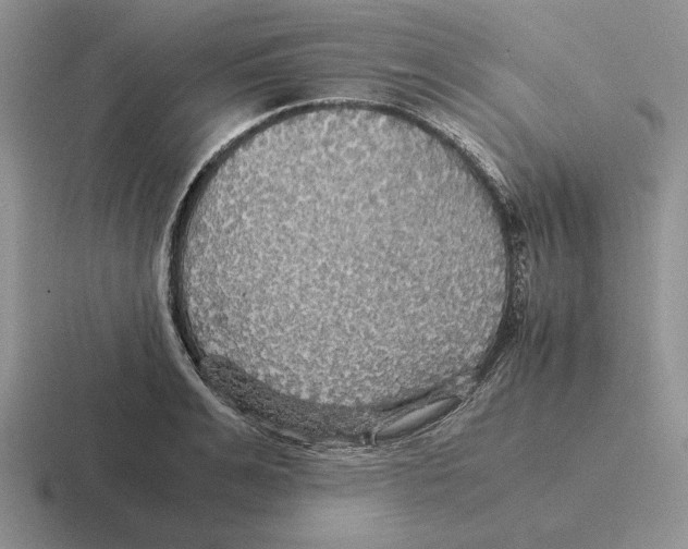 X0000116440991201001051201