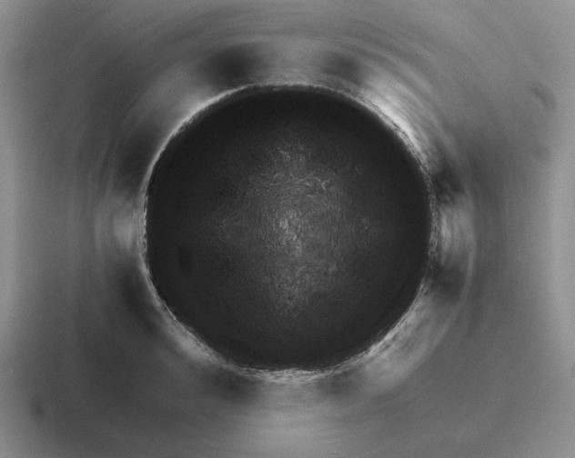 X0000116440992201001051201