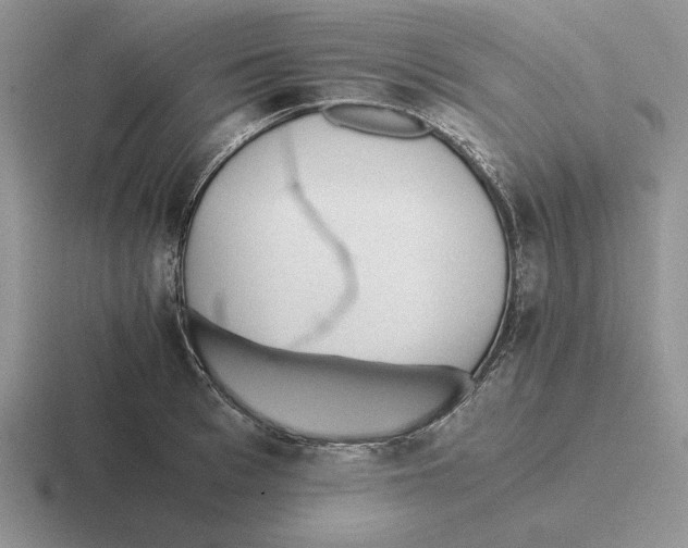 X0000116440993201001051201