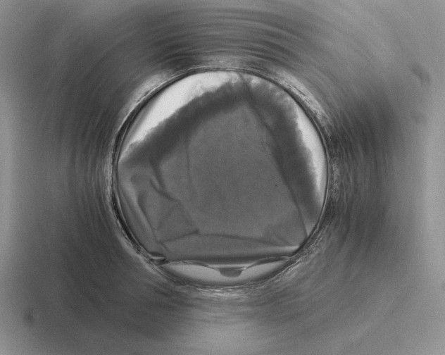 X0000116440994201001051201