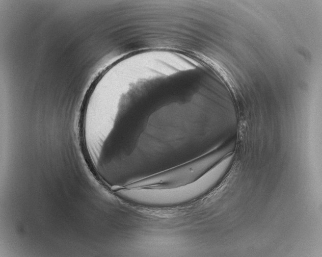 X0000116440995201001051201