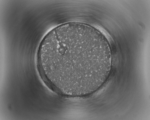 X0000116440999201001051201