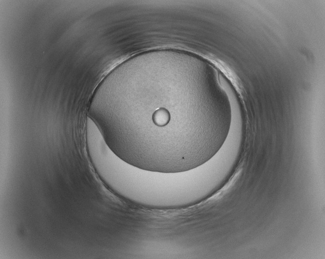 X0000116441001201001051201