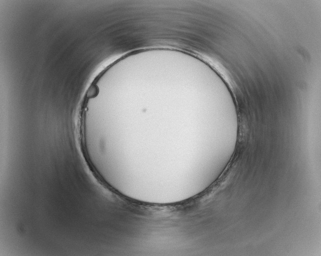 X0000116441003201001051201