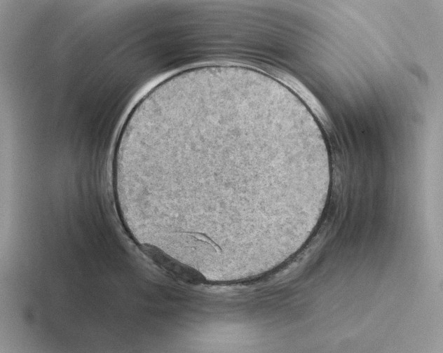 X0000116441004201001051201