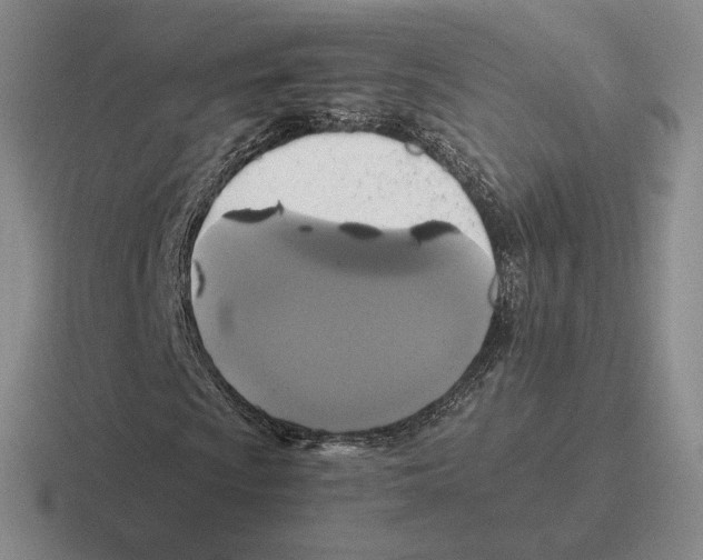 X0000116441009201001051200