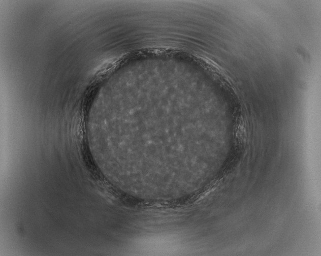 X0000116441014201001051200