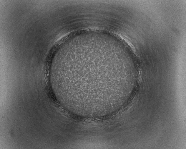 X0000116441015201001051200