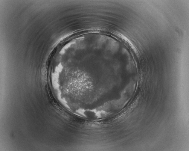 X0000116441019201001051200