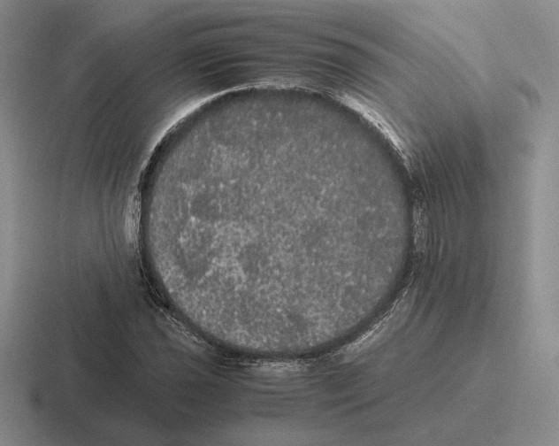 X0000116441021201001051200