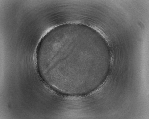 X0000116441022201001051201