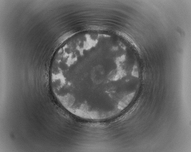 X0000116441025201001051201