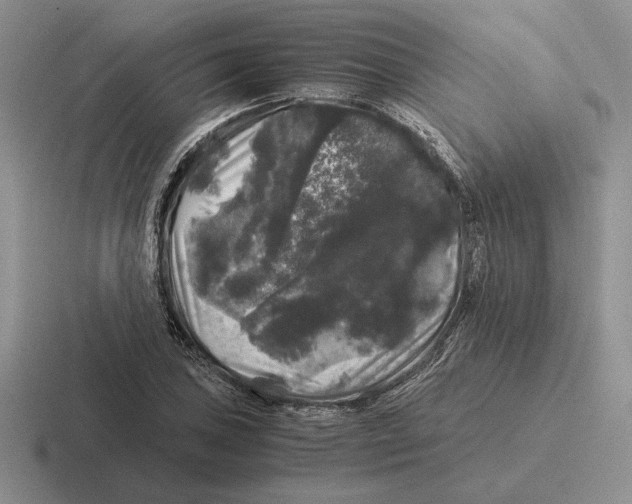 X0000116441027201001051201