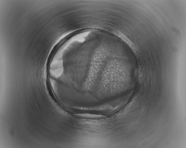 X0000116441028201001051201