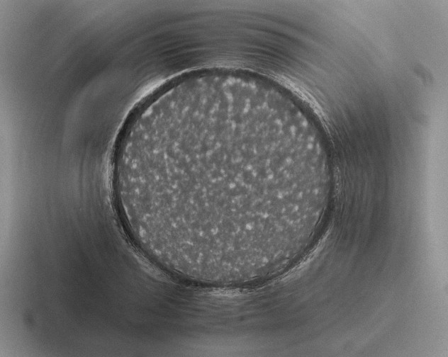 X0000116441029201001051201