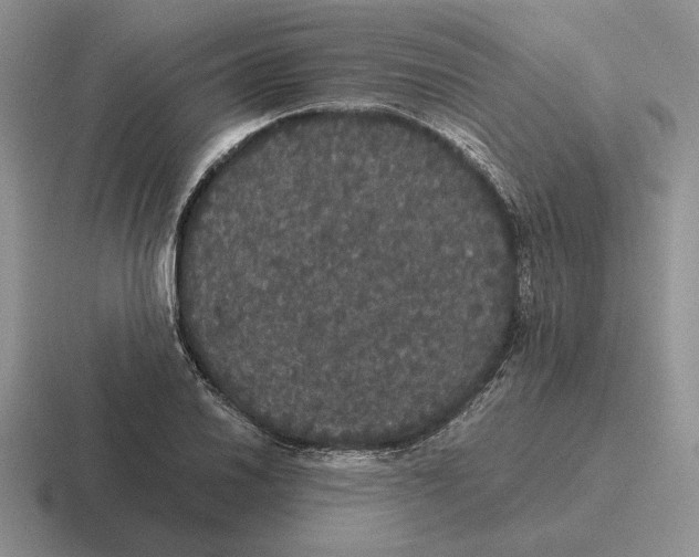 X0000116441030201001051201