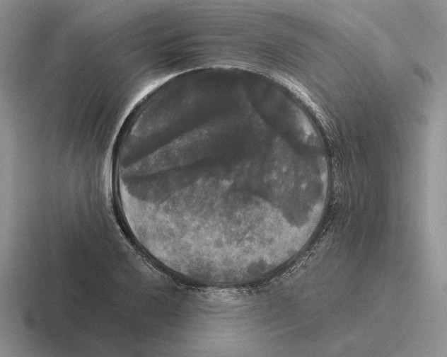 X0000116441032201001051201