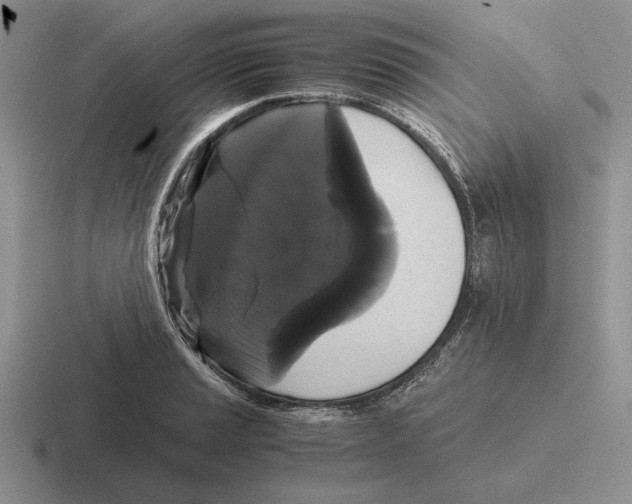 X0000116441037201001051201