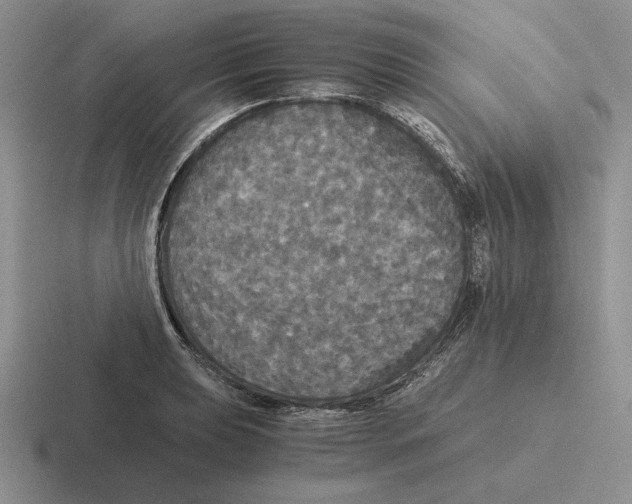 X0000116441039201001051201