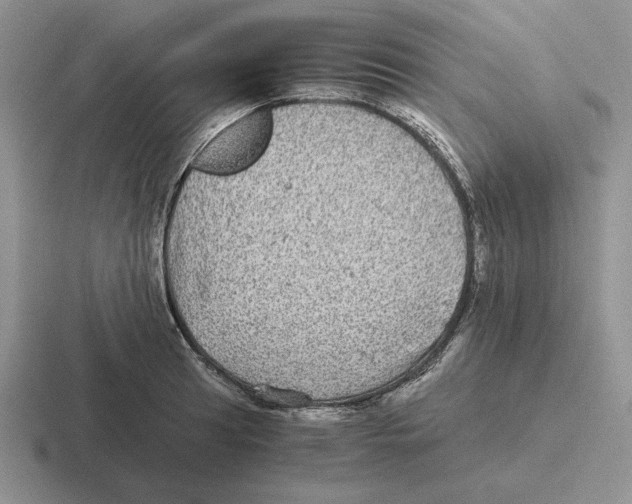 X0000116441041201001051201