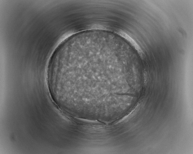 X0000116441043201001051201