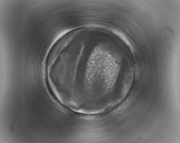 X0000116441048201001051201