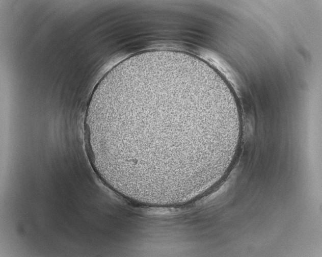 X0000116441049201001051201